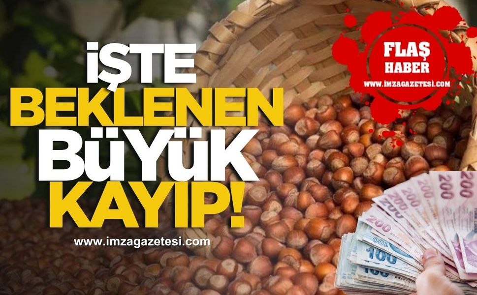 İşte fındıkta beklenen büyük kayıp!