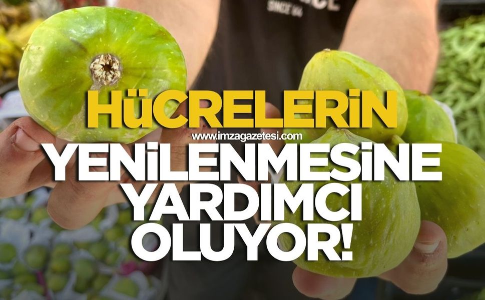Hücrelerin yenilenmesine yardımcı oluyor!