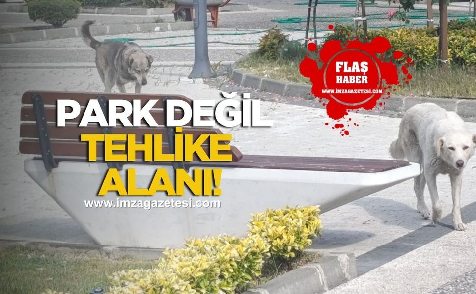 Kilimli'de Meydan Park Korku Parkına Döndü!