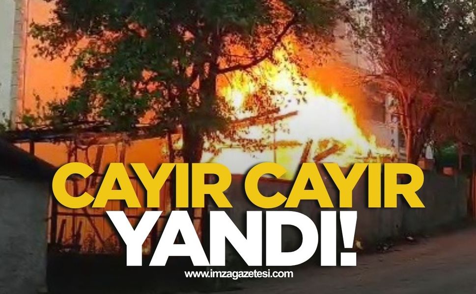 Cayır cayır yandı