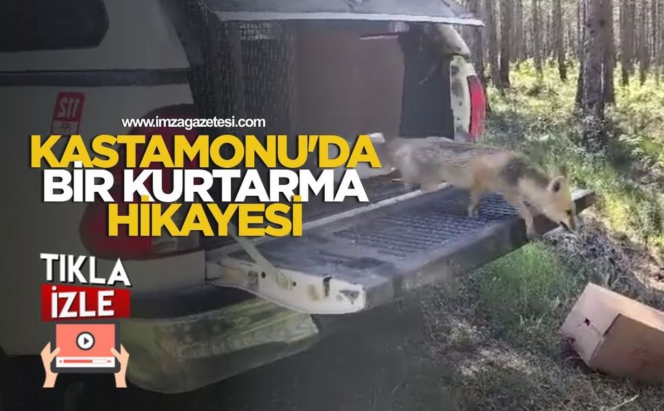 Futbol Kalesi Filesine Takılan Tilki Kurtarıldı...