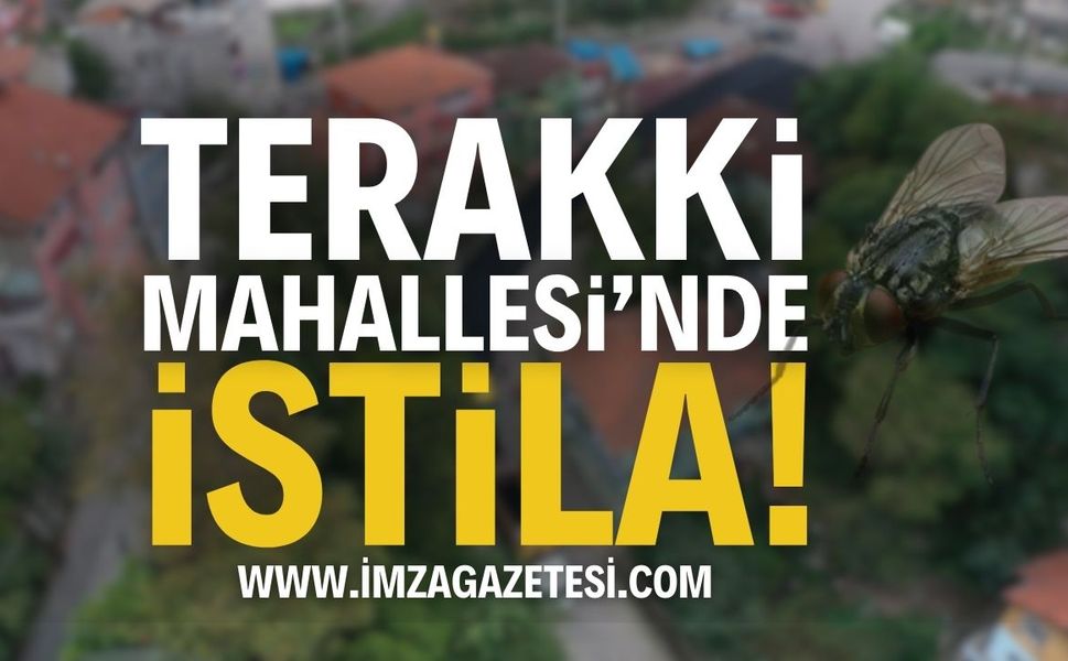 Zonguldak Terakki Mahallesi'nde İstila! | Zonguldak haber