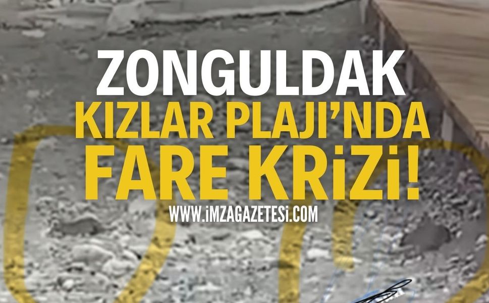 Zonguldak Kızlar Plajı’nda Fare Krizi!