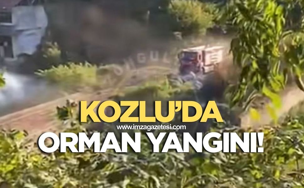 Kozlu'da orman yangını