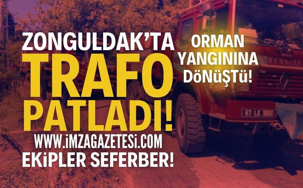 Zonguldak Alaplı'da Trafo Patlaması Yangına Neden Oldu!