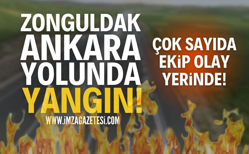 Zonguldak-Ankara Yolunda Yangın!