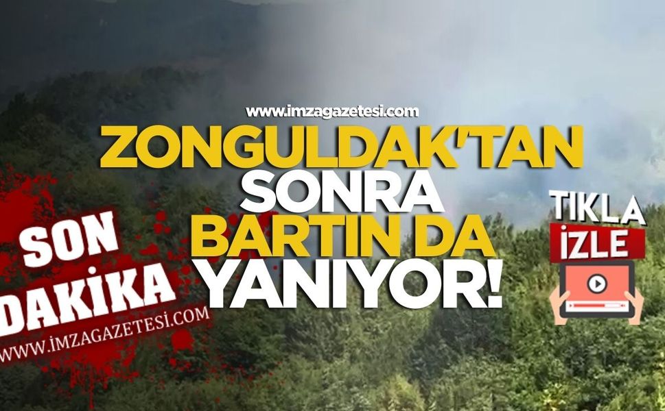 Zonguldak'tan sonra Bartın da yanıyor!