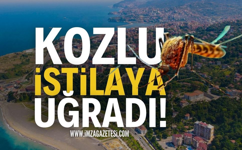 Zonguldak Kozlu İstila Altında: Herkes Şikayetçi!