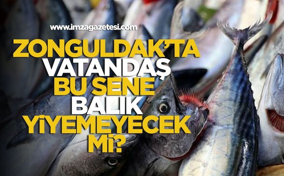 Palamutun azlığı, sıcak denizler ve iklim değişikliği av sezonunu vurdu!