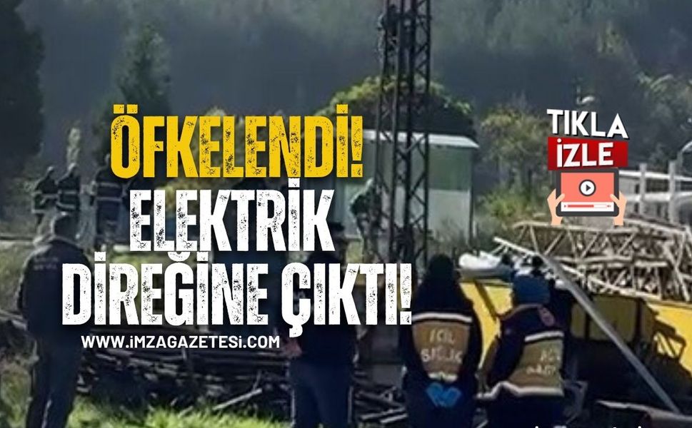 Trafik cezasına öfkelenen sürücü elektrik direğine çıktı!