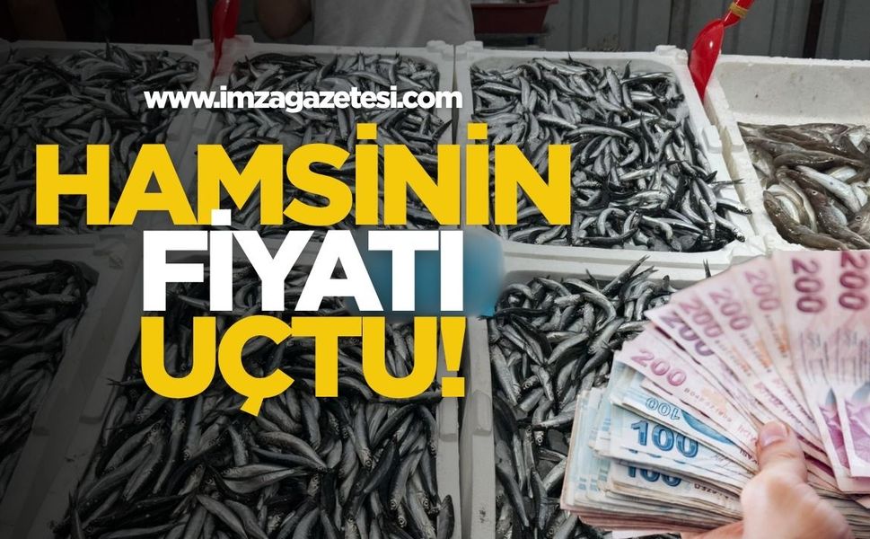 Zonguldak'ta Hamsinin Fiyatı Uçtu!
