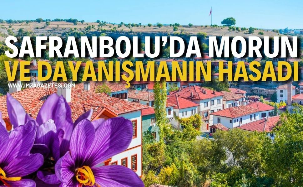 Safranbolu’da Morun ve Dayanışmanın Hasadı!