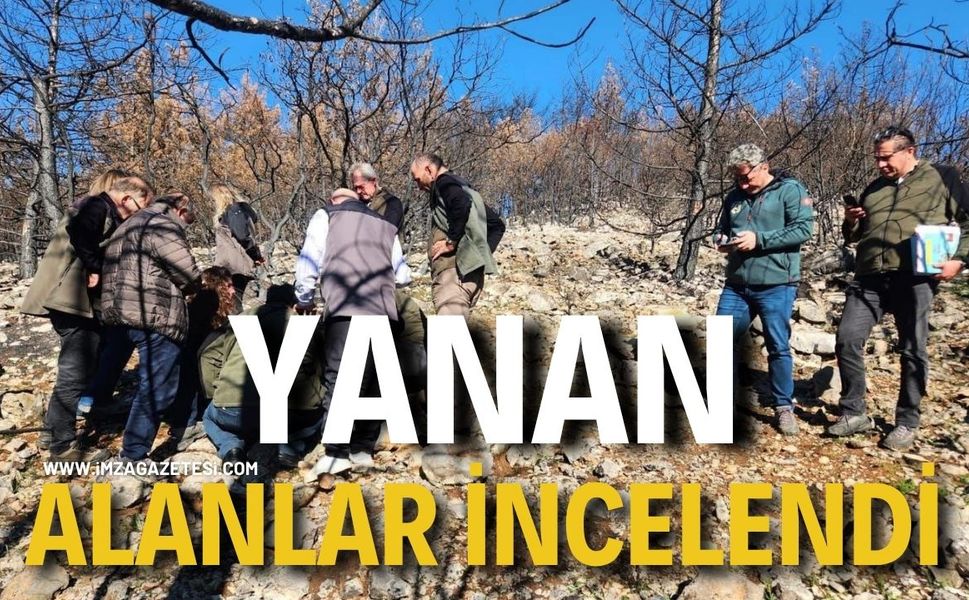 Yanan Alanlar İncelendi!