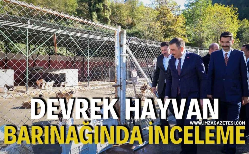Devrek Hayvan Barınağında inceleme: Vali Hacıbektaşoğlu Çalışmalarla İlgili Bilgi Aldı