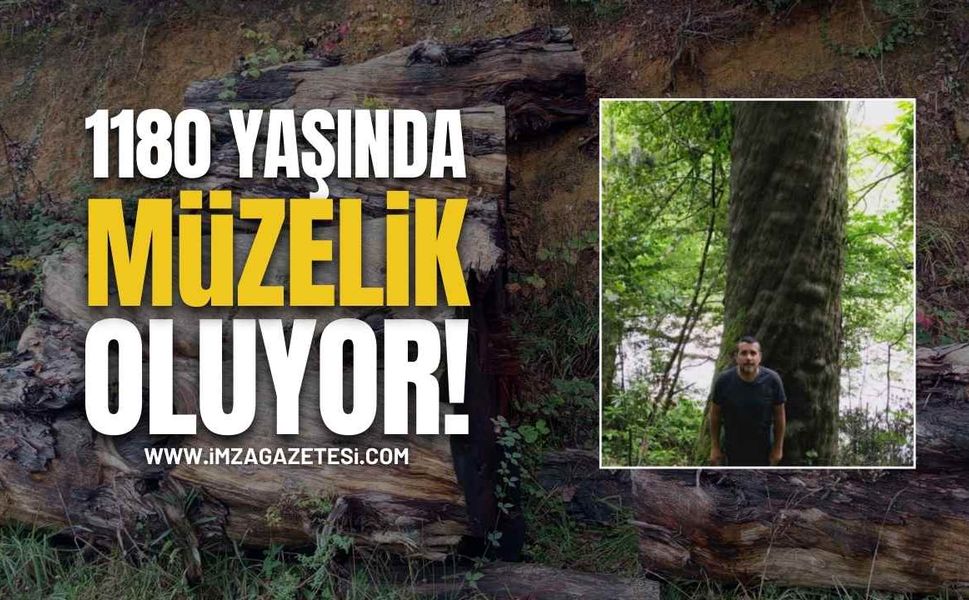 1180 Yaşındaydı Müzeye Hibe Ediyor!