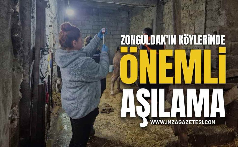 Zonguldak'ın Köylerinde Önemli !Aşılama!