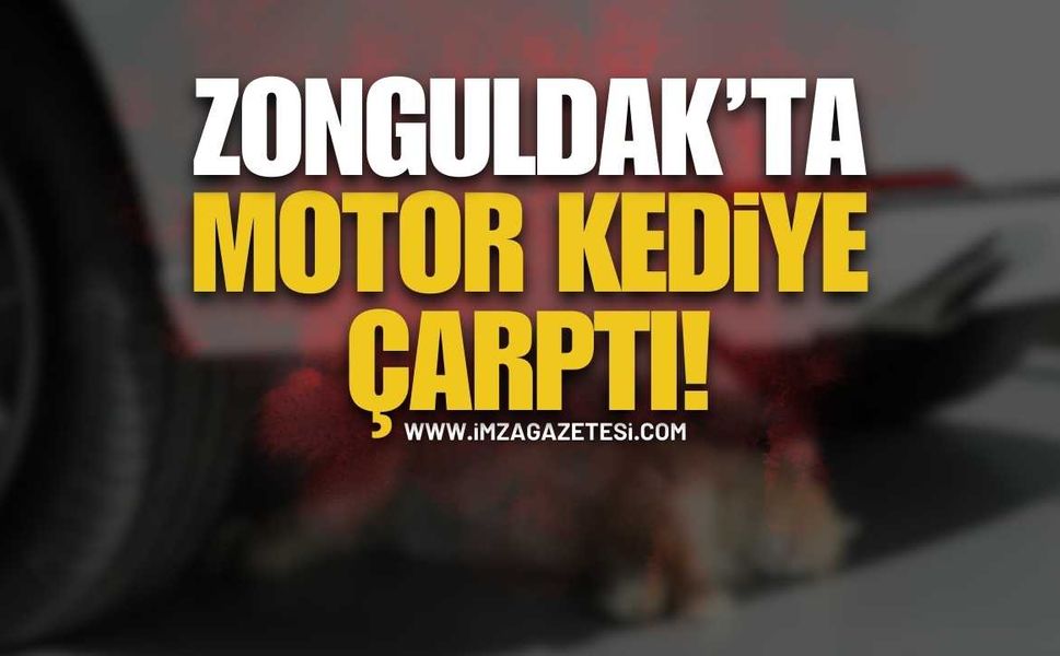 Kilimli’de Kaza: Yola Fırlayan Kedi Motosikletliyi Devirdi!
