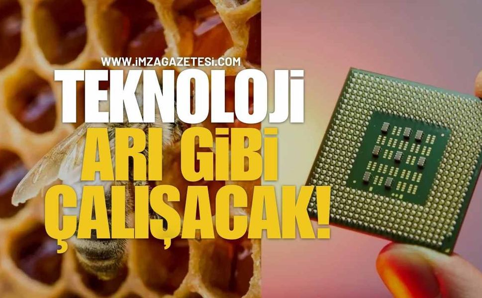 Bilim İnsanları Arı Beyninden İlham Aldı... Yeni Nesil GPS Çipleri Geliyor!