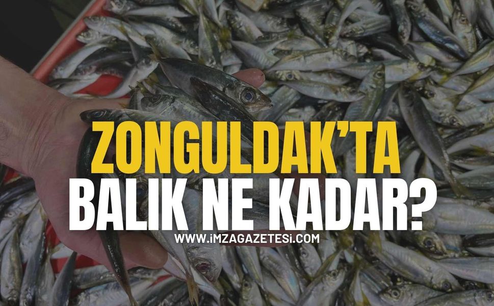 Zonguldak’ta Tezgahlar Doldu! Balık Ne Kadar Oldu?