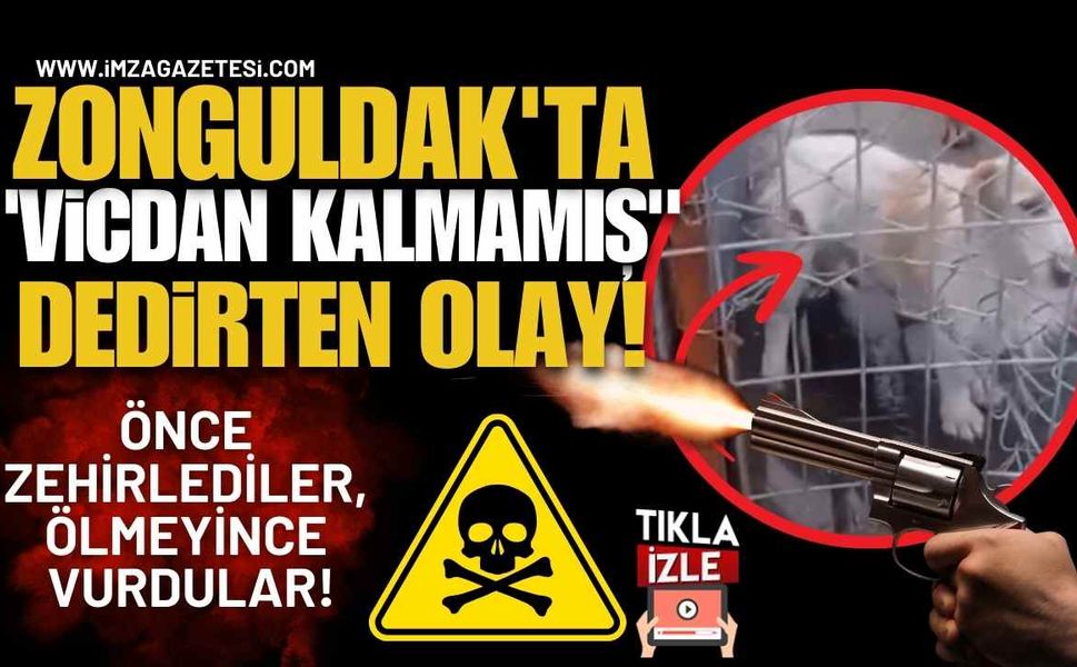 Zonguldak'ta "Vicdan Kalmamış" Dedirten Olay! Önce Zehirlediler, Ölmeyince Vurdular!