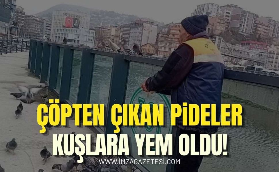 Pideler Çöpten Çıktı Kuşlara Yem Oldu!