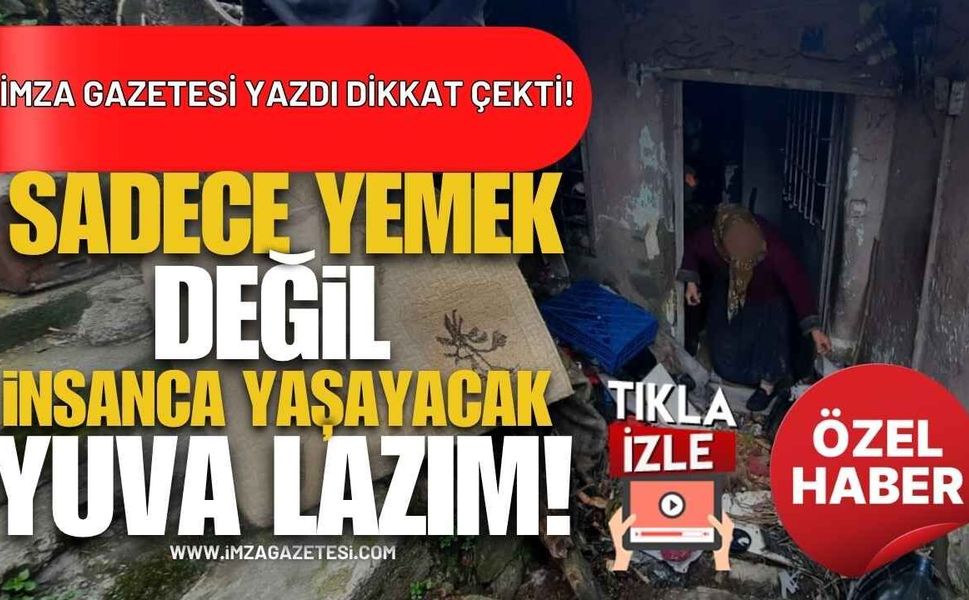 İmza Gazetesi Yazdı Dikkat Çekti! Sadece Yemek Değil, İnsan Gibi Yaşayacak Bir Yuva Lazım!