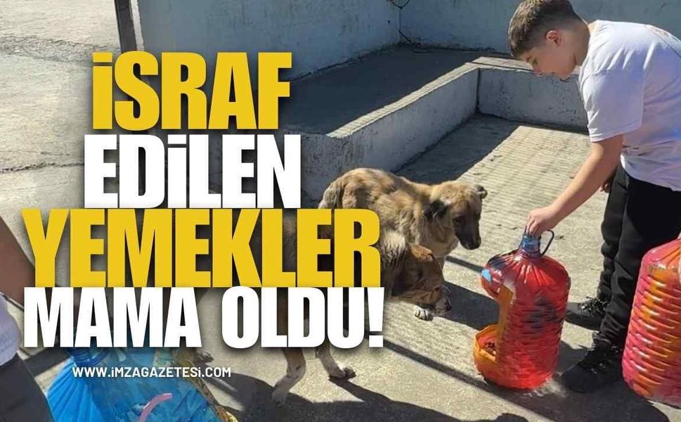 İsraf Edilen Yemekler Mama Oldu!