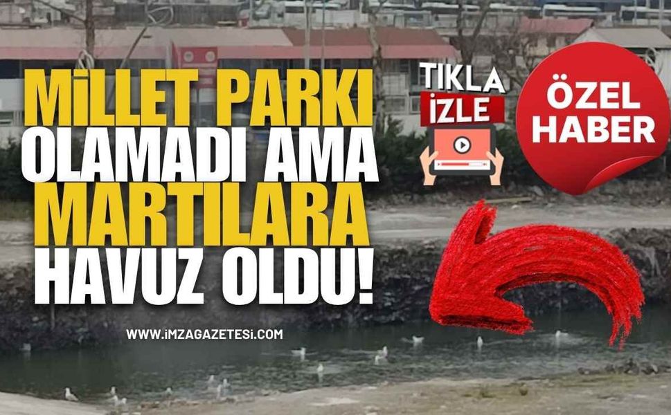 Lavuar Alanı, Millet Parkı Olamadı Ama Martılara Havuz Oldu!