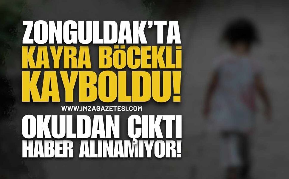 Zonguldak Alarmda: Kaybolan Kayra Böcekli Her Yerde Aranıyor