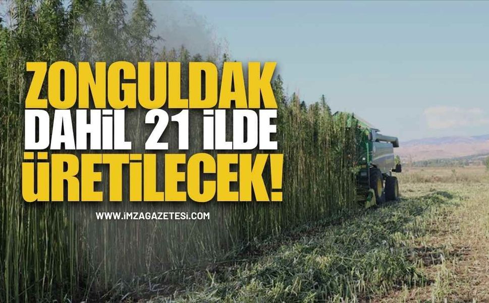 Zonguldak Dahil 21 İlde Kenevir Üretimine İzin Verildi!