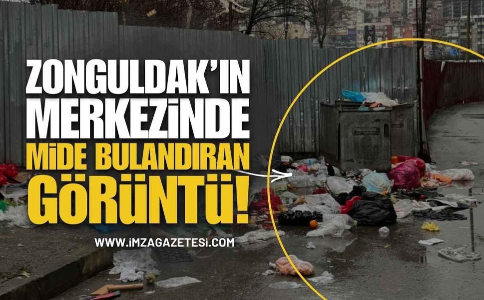 Zonguldak Merkezde Rezalet: Mide Bulandıran Görüntü!