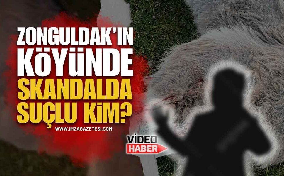 Zonguldak'ın Köyünde Yaşanan Skandalda Suçlu Kim?