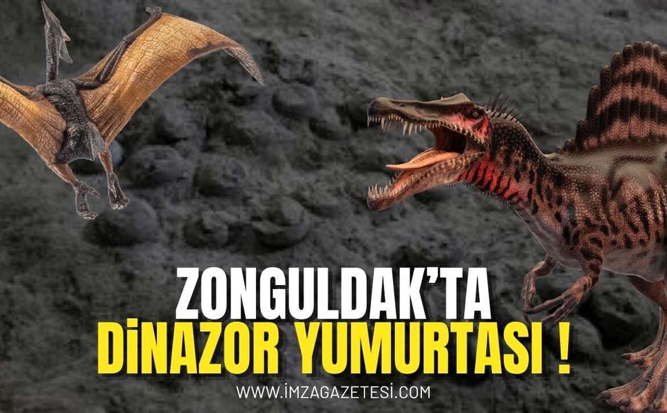 Zonguldak’tan Dinazor Yumurtaları Mı?