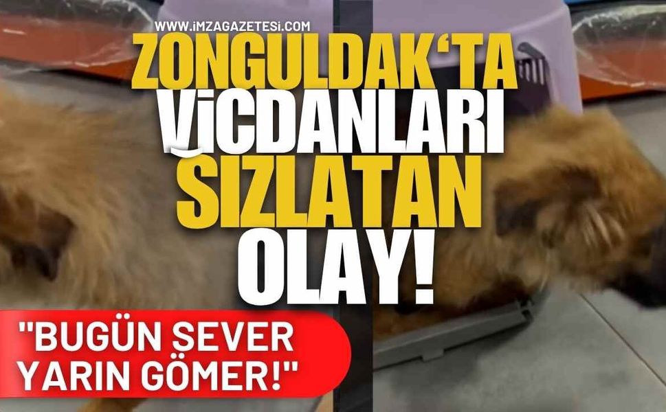 Zonguldak’ta Vicdanları Sızlatan Olay! "İnsanoğlu Bugün Sever Yarın Gömer!"