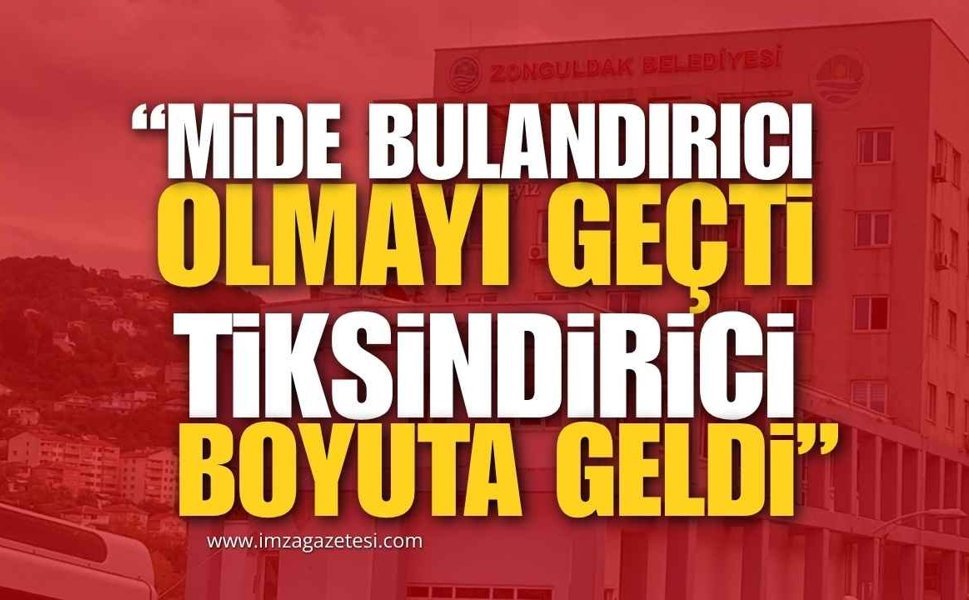 CHP'li İsimden CHP'li Belediyelere Sert Çıkış: "Mide Bulandırıcı Olmayı Geçti, Tiksindirici Boyuta Geldi."