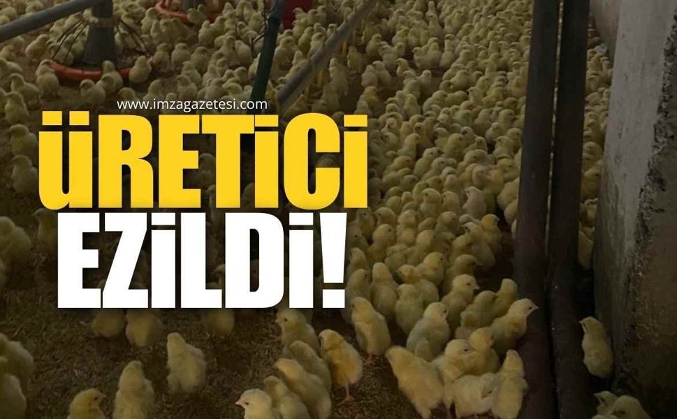 "Üretici, Girdi Maliyetleri Altında Eziliyor"