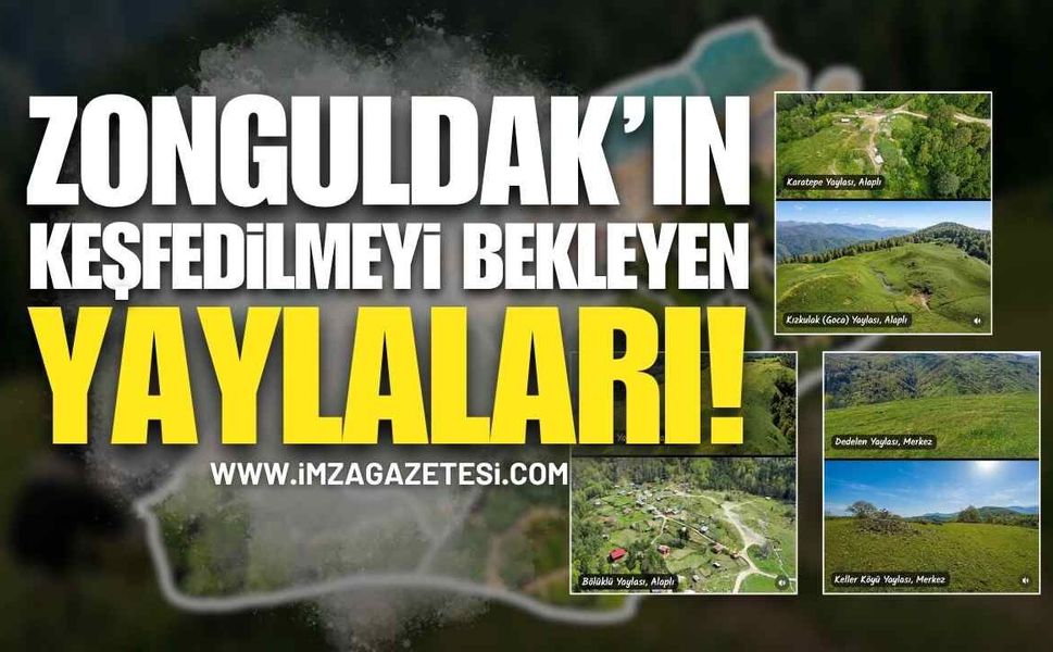 Zonguldak’ın Keşfedilmeyi Bekleyen Yaylaları!