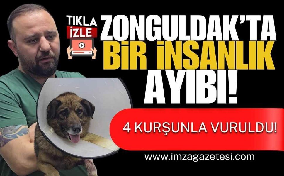 Zonguldak’ta Bir İnsanlık Ayıbı! 4 Kurşunla Vuruldular!