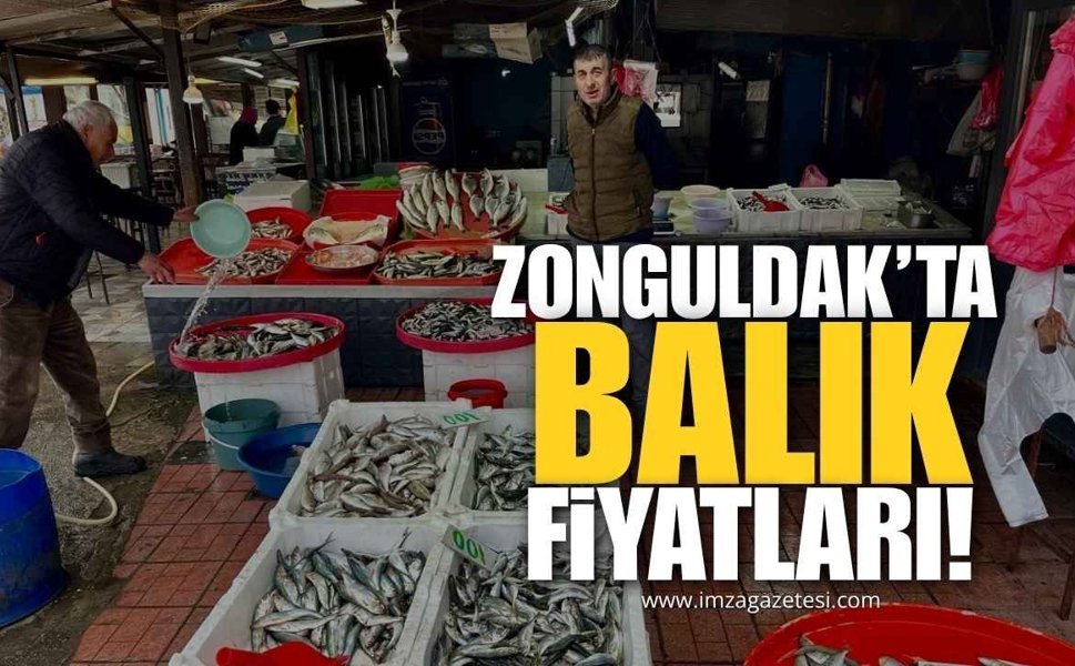 Zonguldak’ta Canlı Canlı Balık Fiyatları!