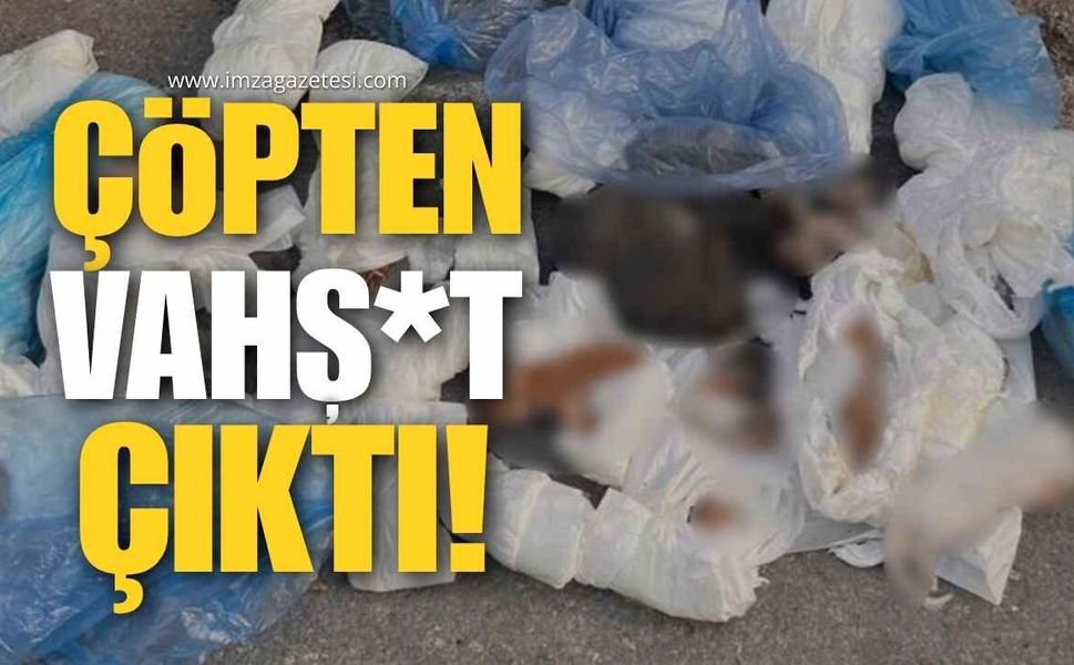Çöpten Vahş*t Çıktı!