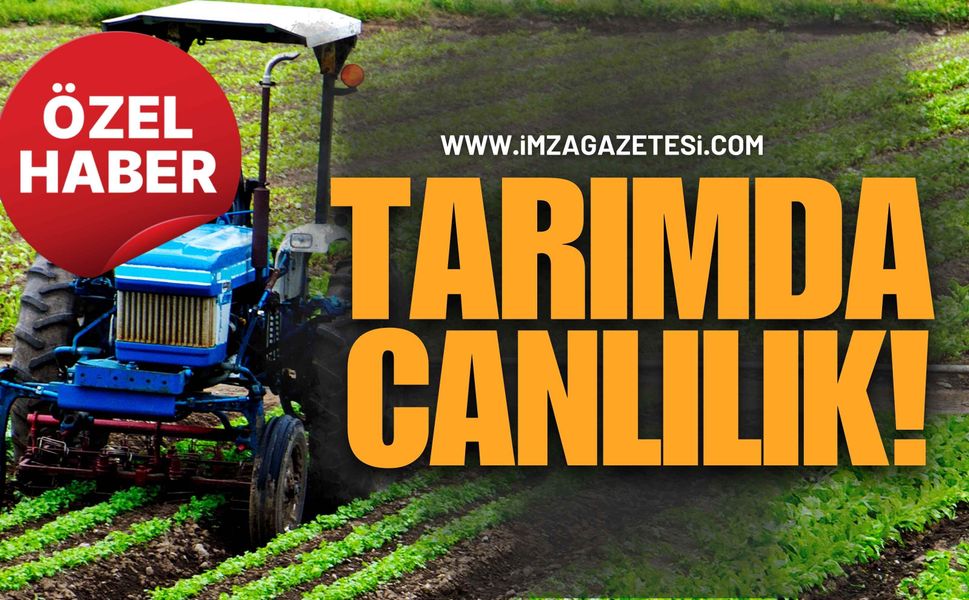 Tarımda Canlılık! Zonguldak’taki Kadınlara 5 Bin Adet!