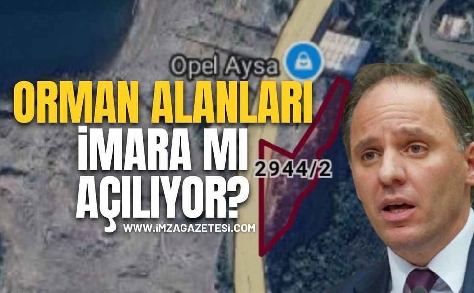 Deniz Yavuzyılmaz: “Zonguldak’ta Orman Alanları Ranta Ve Talana Mı Açılıyor?”