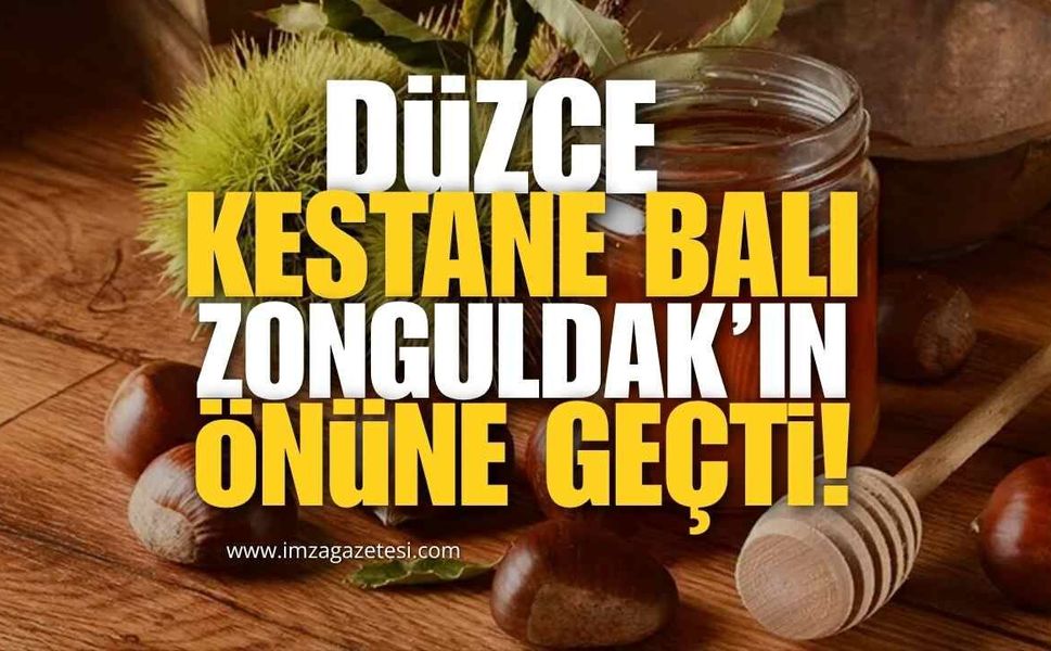 Düzce Kestane Balında Öne Geçti, Zonguldak Başvuru Sürecinde...
