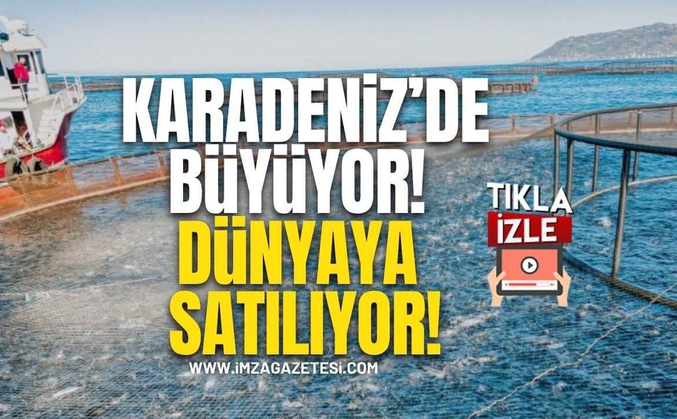 Karadeniz’de Büyüyor, Dünyaya Satılıyor!