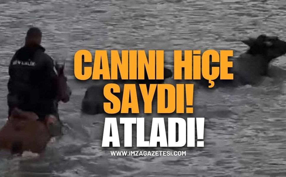 Canını Hiçe Saydı! Atıyla Çaya Girip Mandalarını Kurtardı