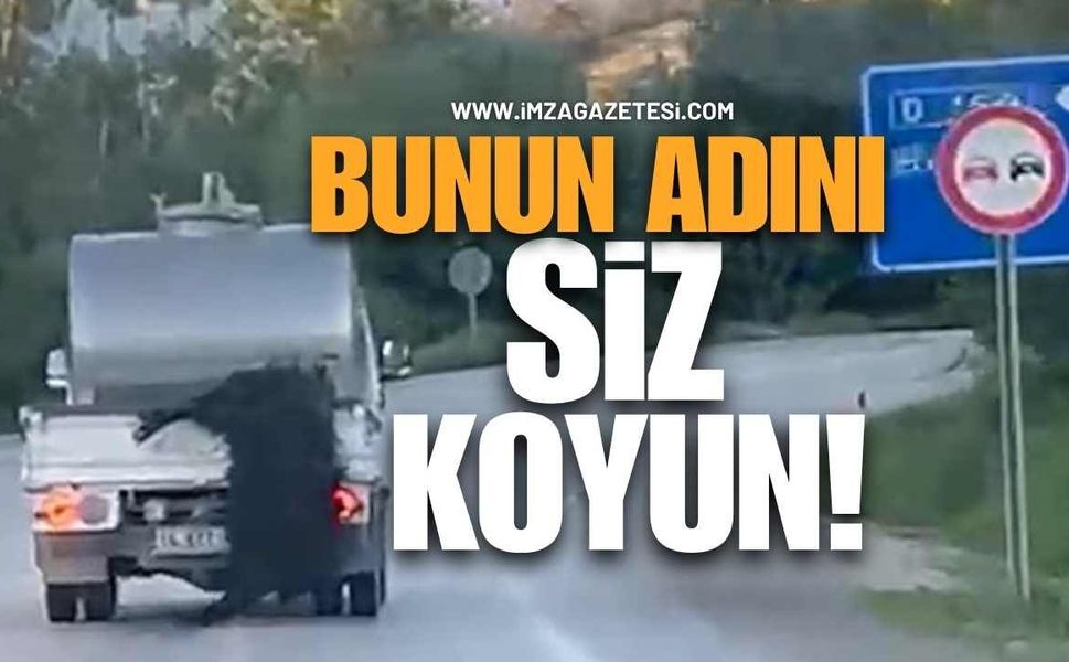 Vicdanları Yaralaran 'Kurbanlığa eziyet' Olayı!