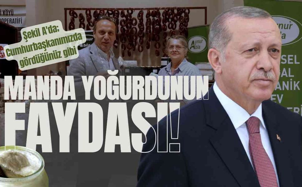 Manda Yoğurdunun faydası; "Şekil A'da; Cumhurbaşkanımızda gördüğünüz gibi"