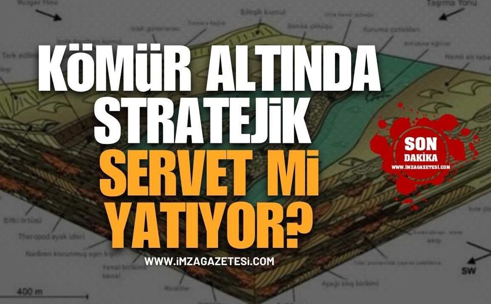 TTK Havzasında Ekonomik Tenörde Nadir Toprak Elementleri Var Mı?