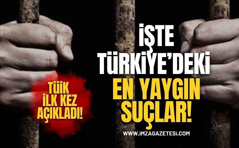 TÜİK İlk Kez Açıkladı! Türkiye’de En Yaygın Suçlar Ortaya Çıktı!