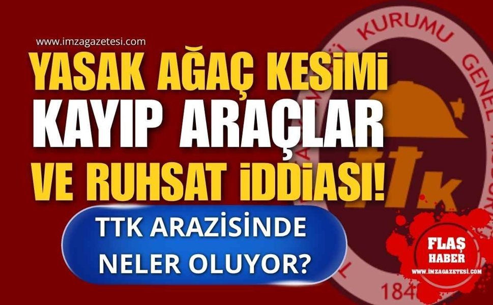 Yasak Ağaç Kesimi, Kayıp Araçlar ve Ruhsat İddiası! TTK Arazisinde Neler Oluyor?